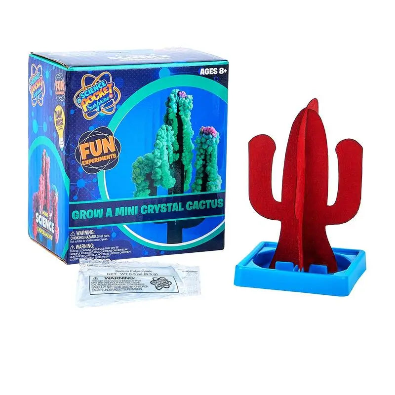 Mini Science Experiment : Science Pocket Surprise