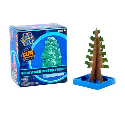 Mini Science Experiment : Science Pocket Surprise