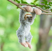 Baby Hanging Sloth Plush