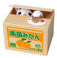 Cat in Box BanK