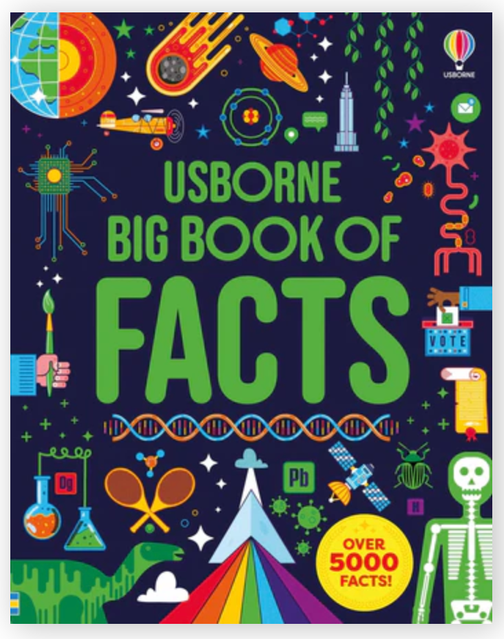 Usborne Big Book of Facts