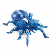 Blue Tarantula Hand Puppet Folkmanis