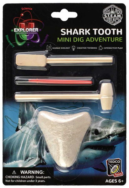 Shark Tooth Mini Dig Adventure