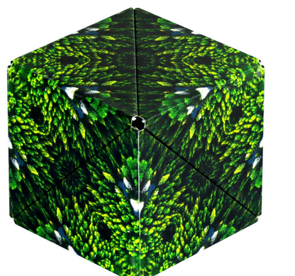 Shashibo Shape Shifting Box